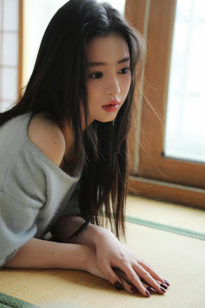 风骚律师